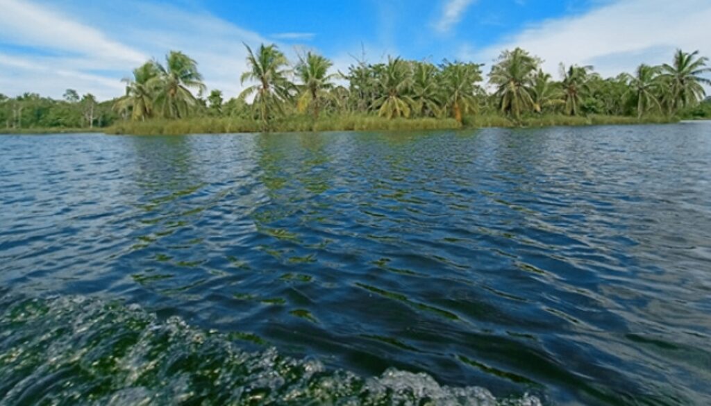 IMG_20230420_172441