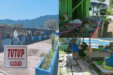 IMG_20241116_135343